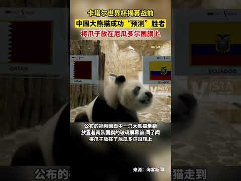 拜仁慕尼黑,与比利亞雷,亞爾欧冠,百家乐在线官方网站,在线百家乐,真人百家乐,网上赌场,百家乐游戏,线上博彩,娱乐网站,百家乐策略,百家乐技巧,百家乐规则,赌场游戏